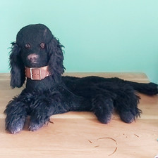 Rare vintage 20th Century dog pyjama case with collar