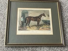cossack  - winner of the derby in 1847 . framed victorian colour print