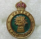 World War Two / WW2 Women's Land Army Enamelled Brass Pin Badge - Miller B'Ham