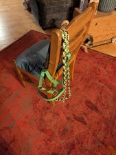 Halfter mit Strick für Pferd, Grün