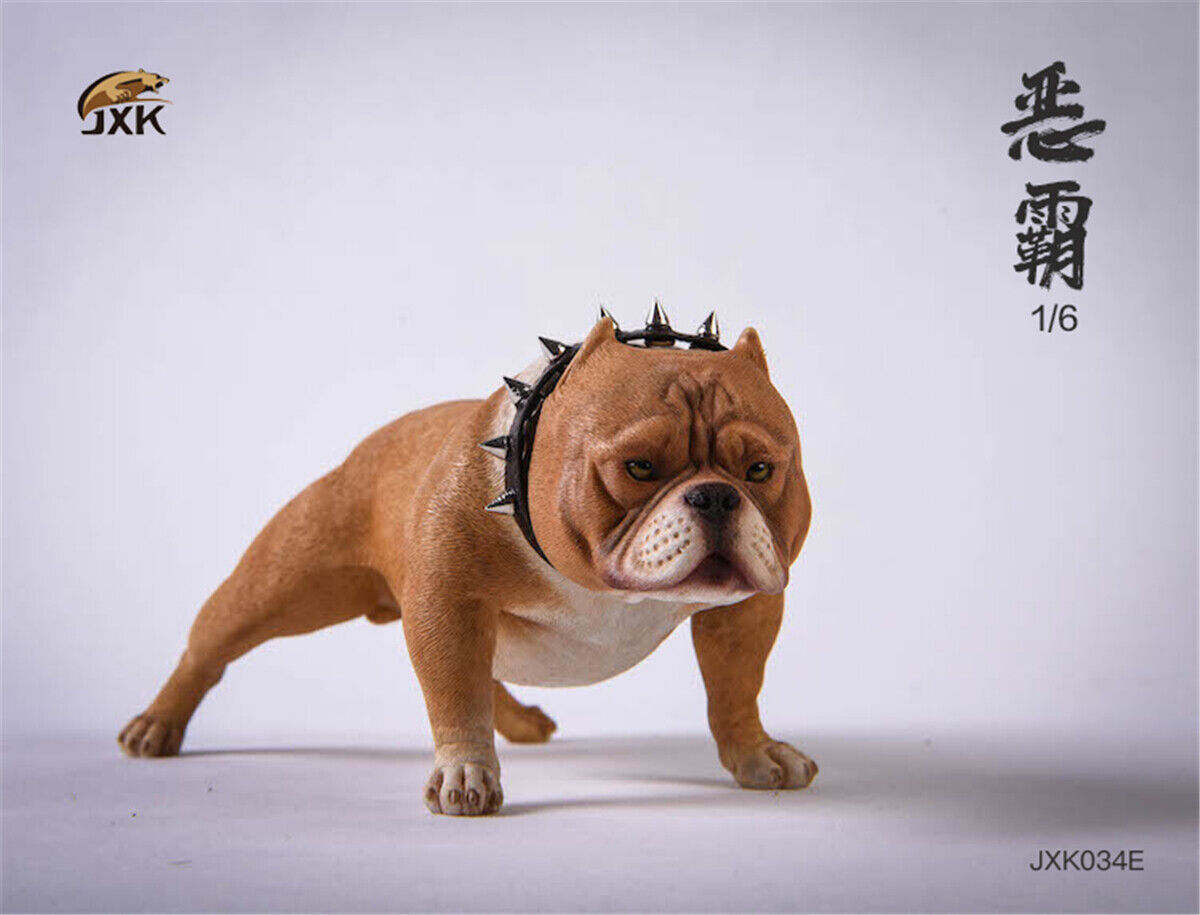 JXK 1/6 American Bully pitbull Dog Pet Figure Animal Model