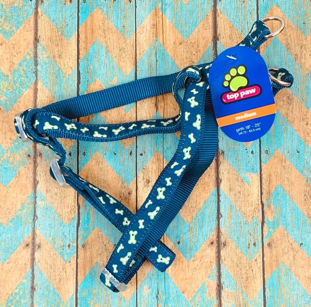 Top Paw Small Dog Collar and Leash Set Blue Bone Print for sale online eBay