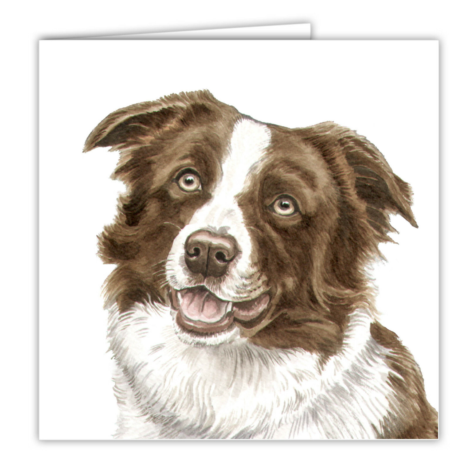 Red Border Collie greetings card dog blank card dogs Border Collies Waggydogz