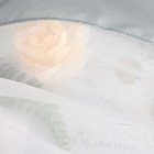 Bild 54 von 102