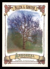 2021 Allen and Ginter Arboreal Appreciation #AA6 Horse Chestnut (ref 224564)
