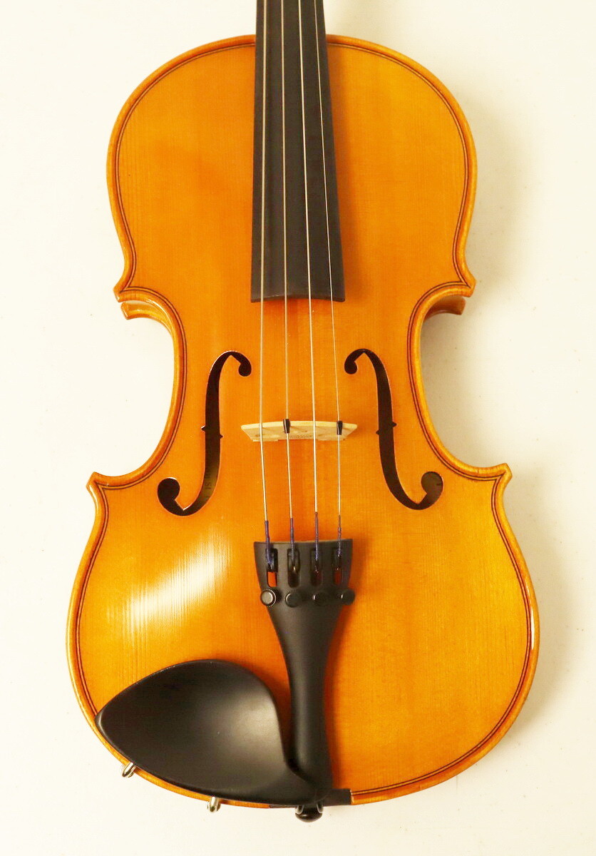 New Display Model Eastman VL80 1/4 Student Violin ~ Free Shipping