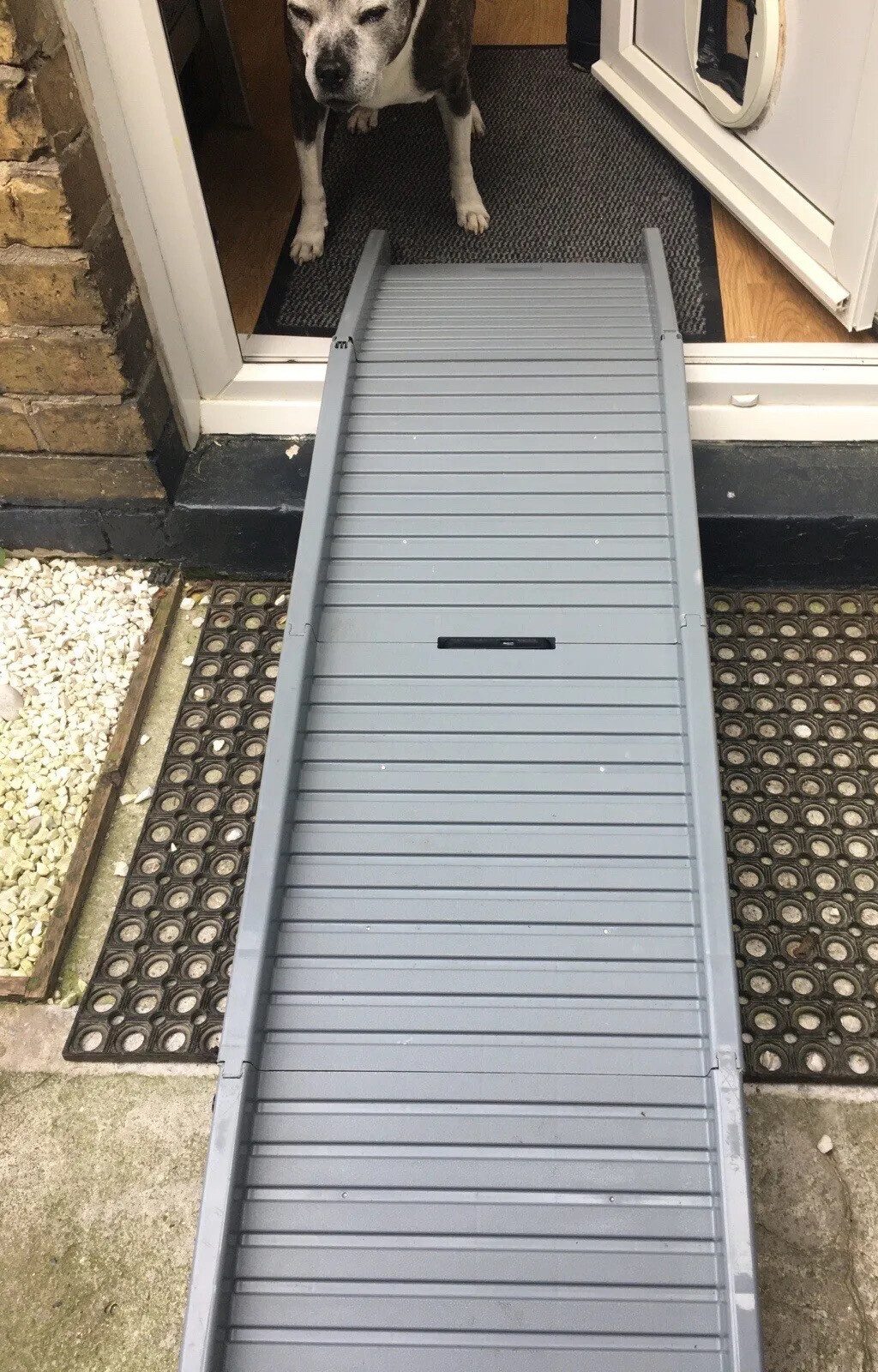 Folding Dog Ramp By Pets At Home eBay