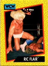 1991 Impel WCW Ric Flair #41