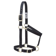 Adjustable Black Nylon Horse Halter with Soft Foam Liner Durable and Stylish