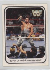1991 Merlin WWF German Butch Miller Butch of the Bushwhackers #66 0w6