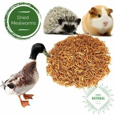 Non-GMO Dried Mealworms for Birds Chickens Hens Hamster Fish Reptile Turtles USA