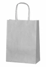 10 Silver Paper Party Bags - Gift Bag With Handles -Birthday Loot Bag