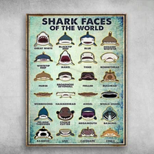 Shark Faces Of The World - Great White, Blacktip Reef, Blue, Oceanic Whiteup,...