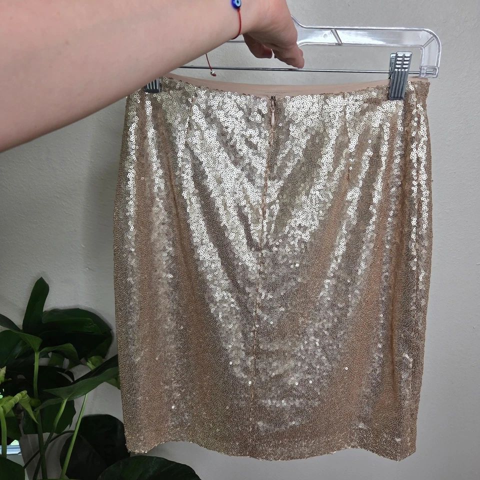 Falda de lentejuelas del mercado negro de la Casa Blanca 3/$30 fiesta champán brillante talla 2 nueva Foto 4 de 4