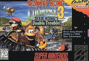 Super Nintendo Donkey Kong Country 3 | eBay