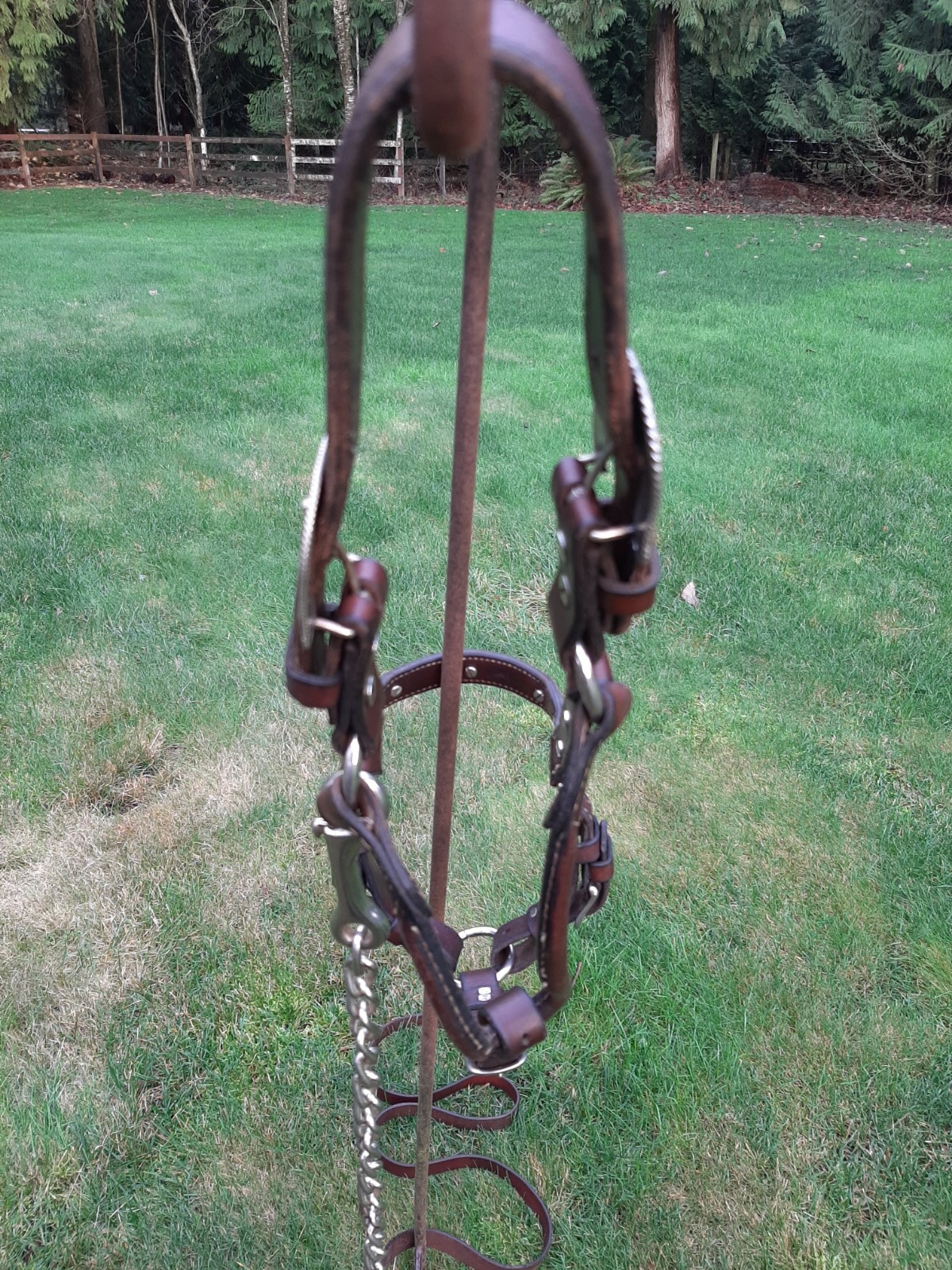 Vintage Alpaca Silver Show Halter Mare W/Lead