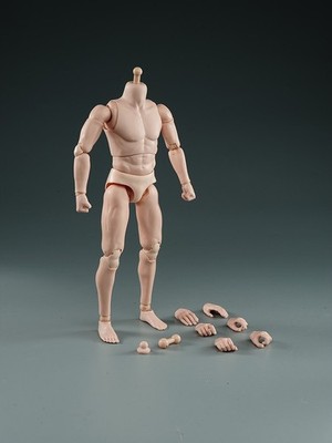 1/6 Male Joint Body Pale Skin Muscle Super Flexible Model Fit 12'' PH Figure Toy