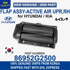 GENUINE OEM Hyundai Kia Radiator Shutter Assy Flap Assy Active Air FR RH loniq