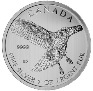 🇨🇦 WOW WOW 2015 Canada 1 Troy oz Silver Maple Leaf Red Tailed Hawk
