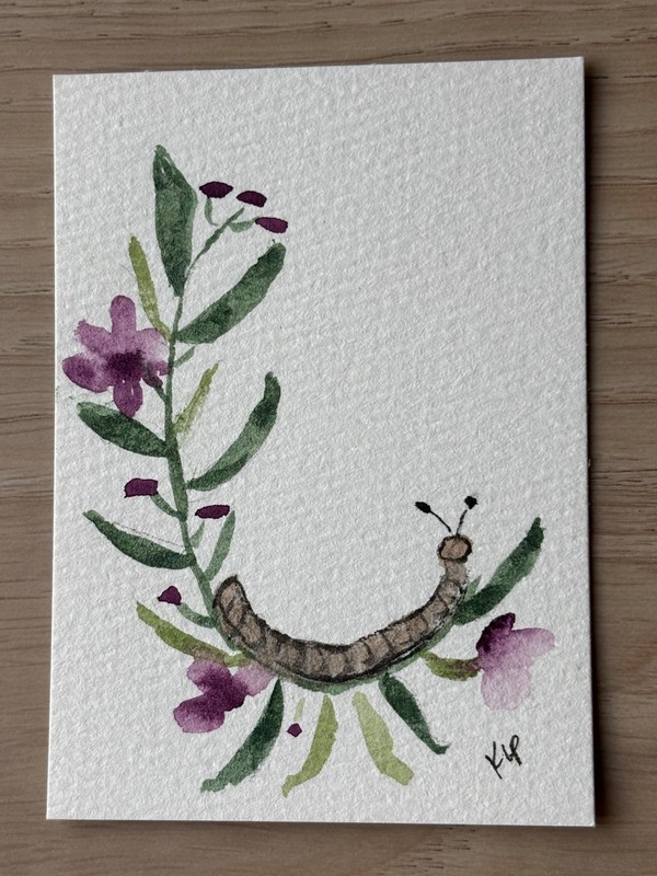 ACEO Original Caterpillar Bug Insect Flower 2.5x3.5 on Paper by Katie Love-Pride