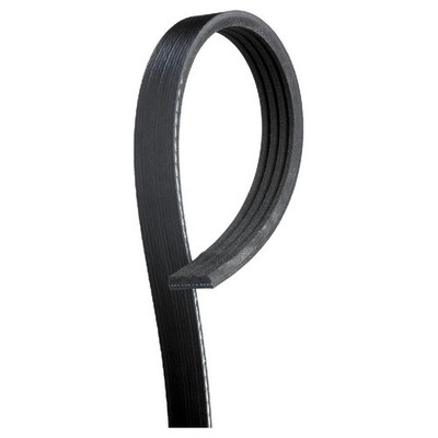 Gates Keilrippenriemen 6534255 91TF6C301B1C 91TF6C301B2C EJ4K0961 24773145