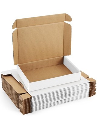 Shipping-Boxes-11x8x2 Inches: 25 Pack-Cardboard-Boxes-Packaging, White-Shipping