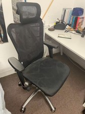 Sihoo Ergonomics Office Chair Adjustable Headrests and Lumbar Support High Back