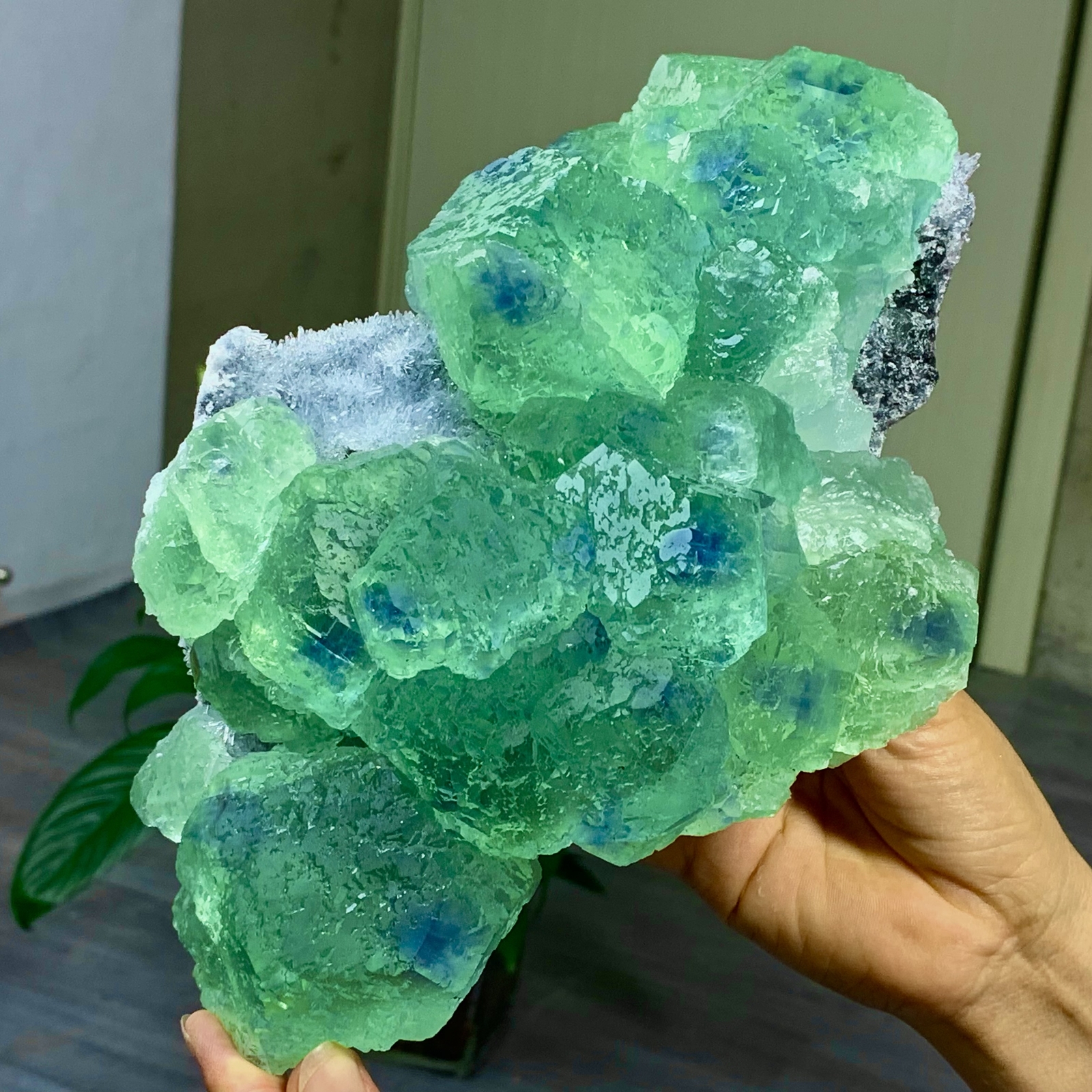 9.74LB Rare Blue Green Cubic Fluorite Crystal Specimen from China
