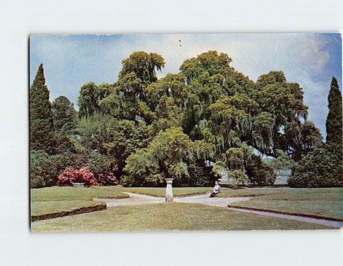 Postcard Middleton Gardens, Charleston, South Carolina, USA | eBay