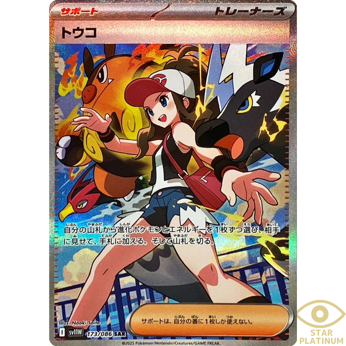 貝標本　Euhadra grata emurai sp赤茶色特殊個体レア個体 Hilda SAR 173/086 sv11W Japanese Pokemon Card White Flare - NM | eBay