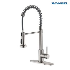 WANGEL Kitchen Faucet with Pull-Down Sprayer,Commercial Spring Sink Out