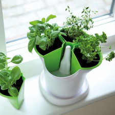 stewart premium vaso per erbe aromatiche stewart autoirrigante
