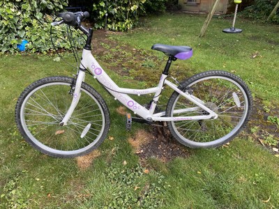 dawes sapphire 24 inch bike Off 75 