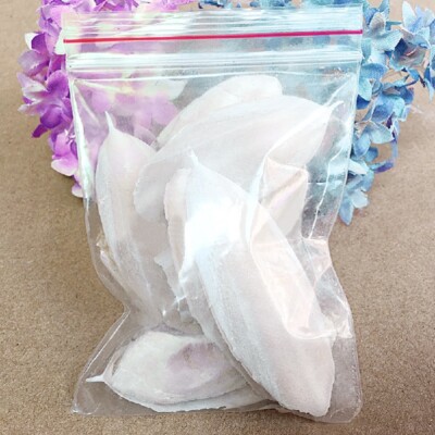 Cuttlebone Cuttlefish Sepia Bone Cuttle Fish Bird Food Calcium Pet NEW