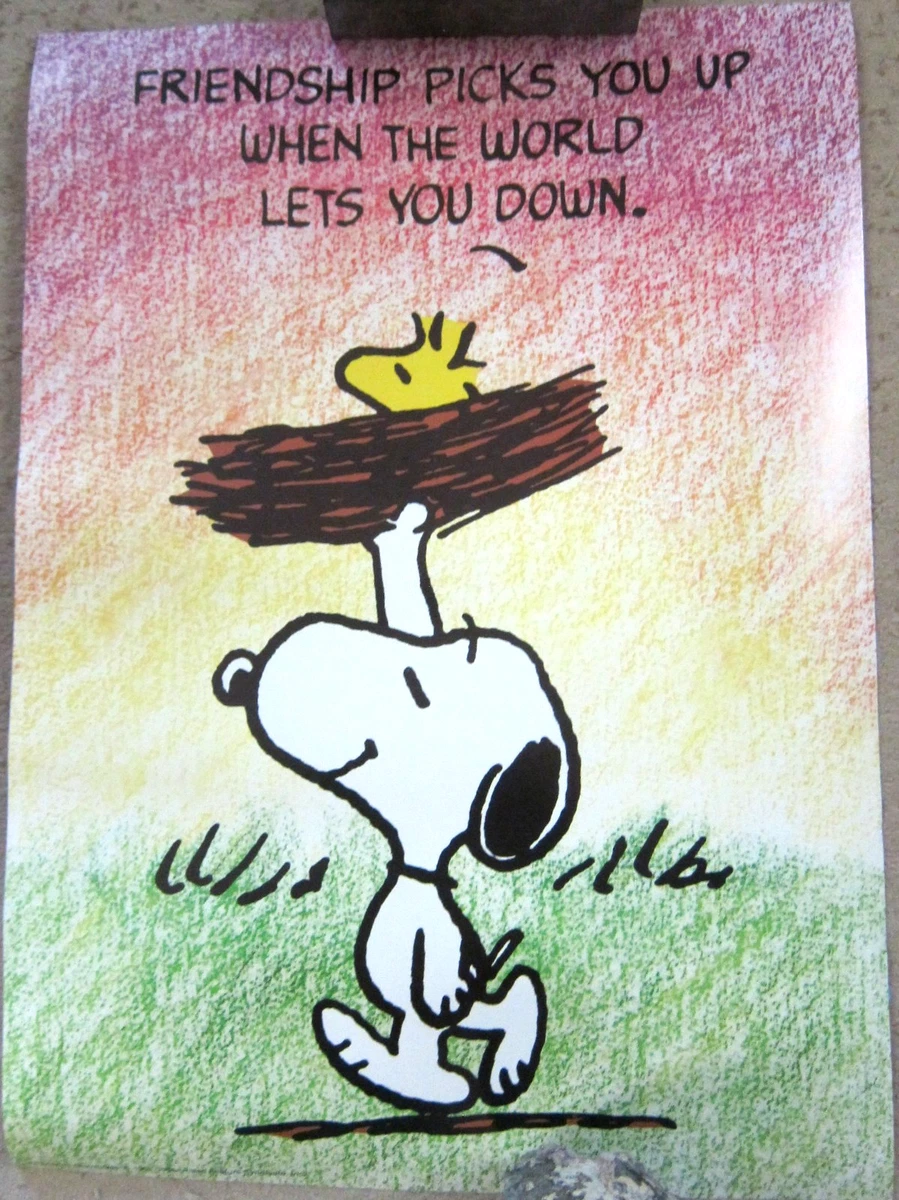 70'sヴィンテージ　ポスター　スヌーピー　STUPID BIRDS ヒッピー vintage snoopy poster products for sale | eBay