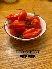 Super Hot Pepper Seeds - Choose Your Variety