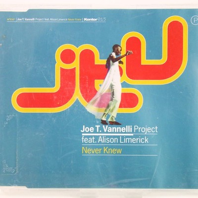 Music Musik Maxi CD Joe T. Vannelli Project Feat. Alison Limerick   Never Kn Gut