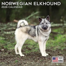 Norwegian Elkhound Calendar 2026 - Dog Breed Wall Calendar - Made in the USA!