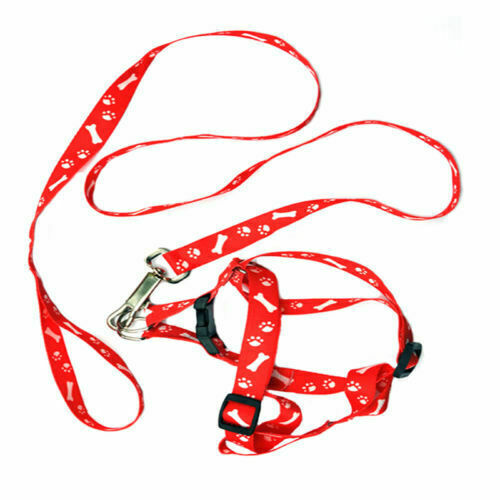 Small Dog Puppy Cat Rabbit Kitten Nylon Adjustable Leash Harness & lead UK POST - Picture 13 of 18