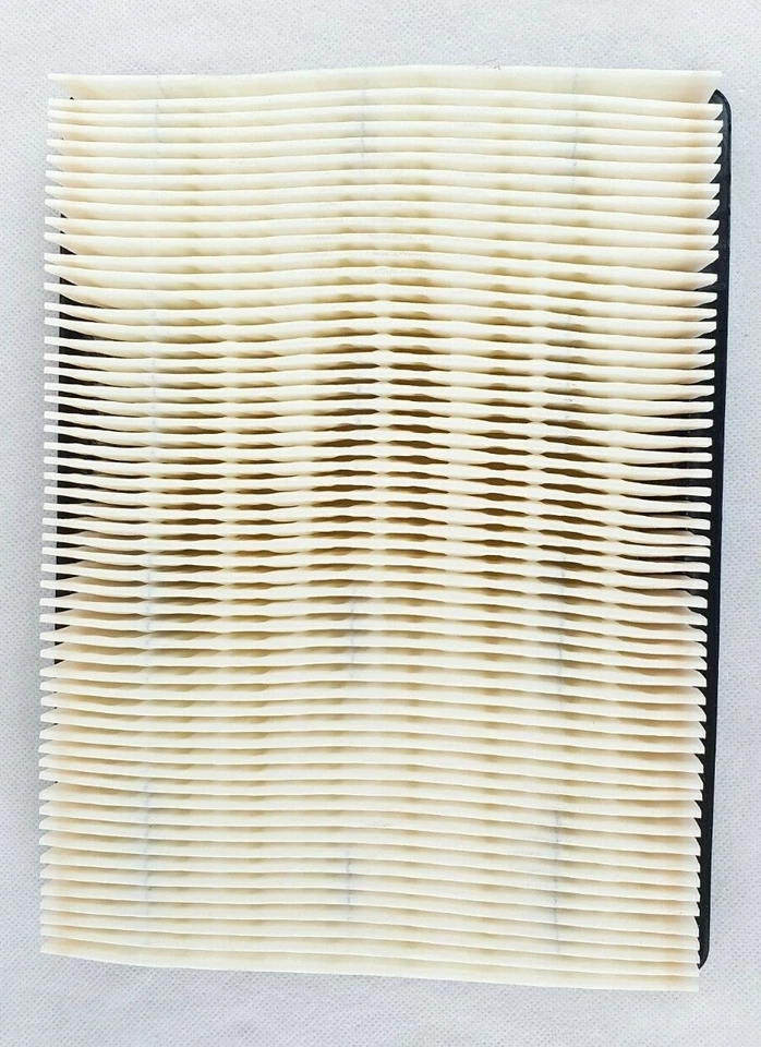 Filtro de aire A24880 para 94/09 Chevrolet, Pontiac, Montana, Oldsmobile 3,9 L 4,6 L Foto 2 de 3