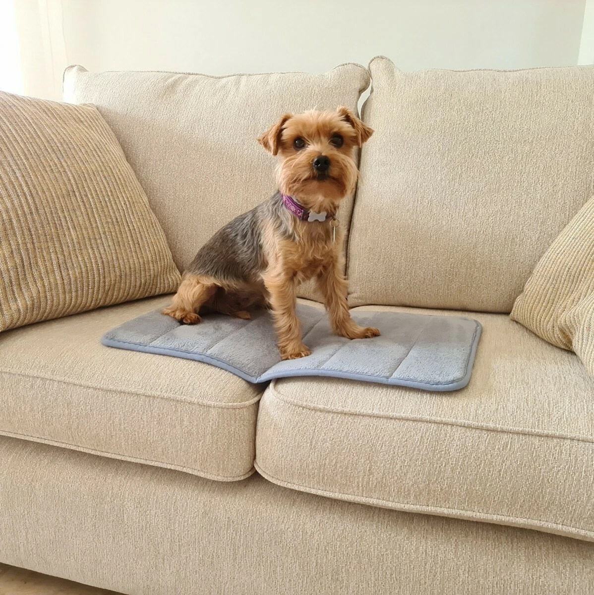 You & me hotsell comfort dog mat