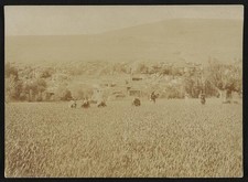 Photo:Armenia Ottoman Empire 1900s Armenian Wheat Harvest Town View