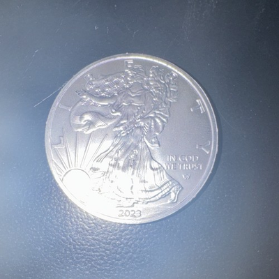 #ad U.S. Mint 2023 American Eagle 1 oz Silver Collector Coin .999 Fine Silver $800.00