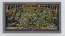 2021 Topps Allen & Ginter Chrome Mini World's Largest Amazon Rainforest og9