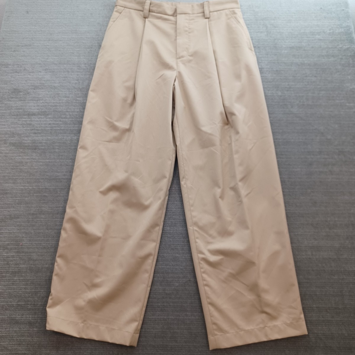 Zara Pleated Relaxed Fit Pants Mens 32x30 Beige Straight Wide Leg