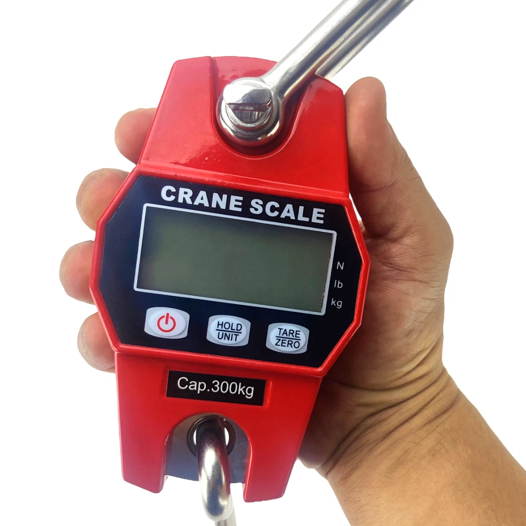 Bilancia A Piattaforma - BKT Series - AE Adam GmbH - Contapezzi / Con - Foto 2