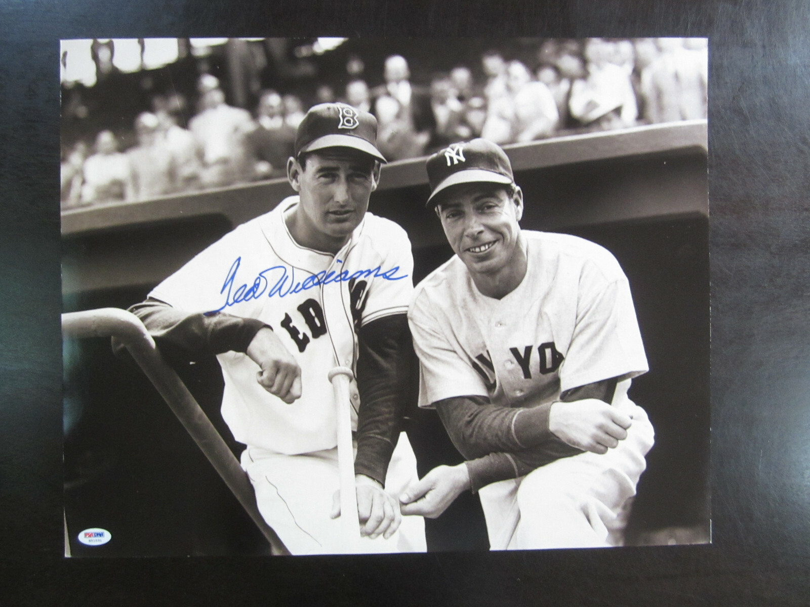 Ted Williams Autograph Signed 16 x 20 Photo PSA/DNA Boston Red Sox