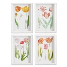 Cottage Garden Tulip Wall Art Prints - Set of 4, Framed