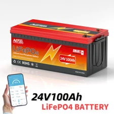 24V 100Ah Bluetooth LiFePO4 Lithium Battery 100A BMS Deep Cycles Solar Marine RV