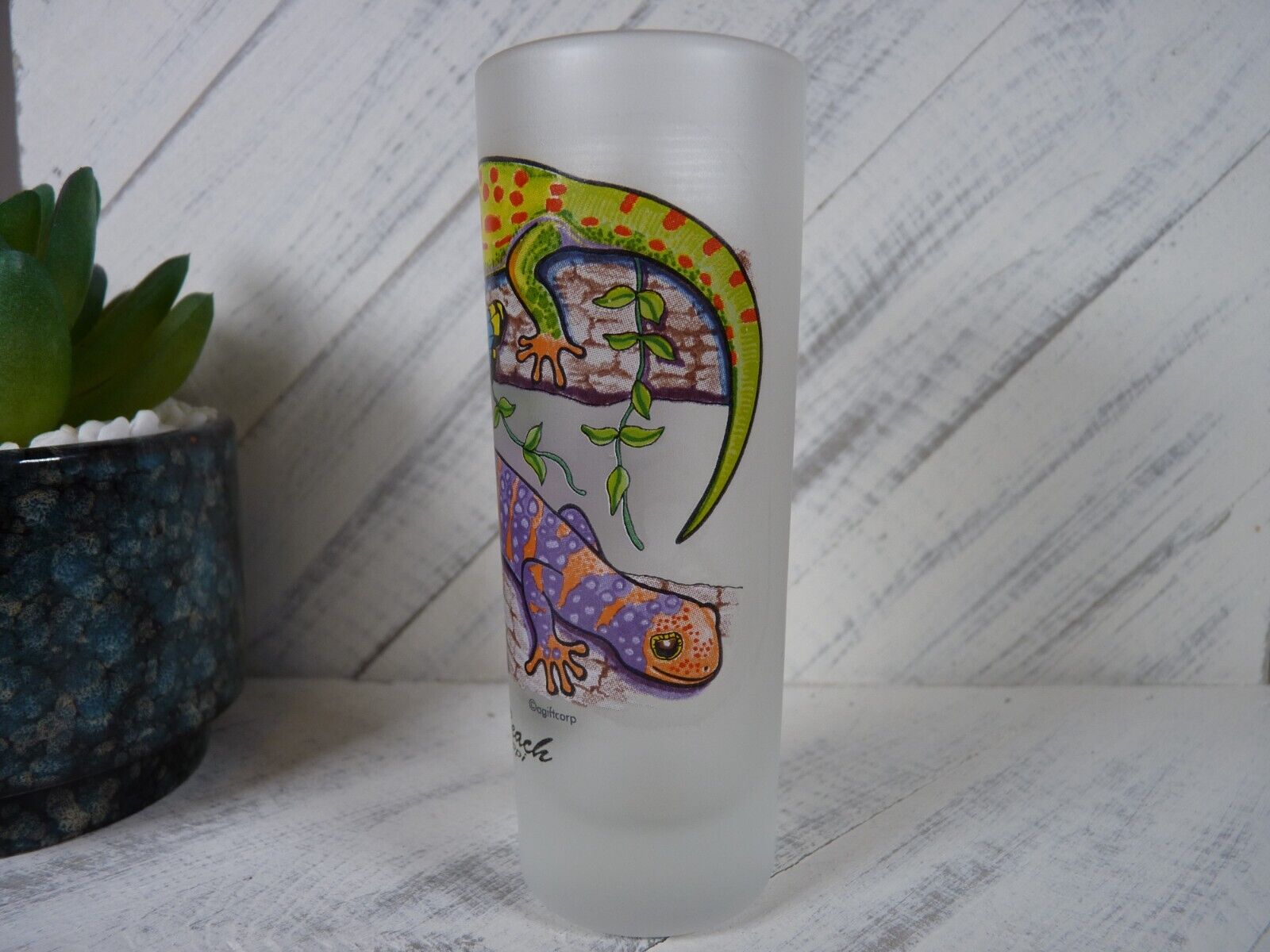 Biloxi Beach, Mississippi Colorful Lizards Frosted Tall Shot Glass - N1
